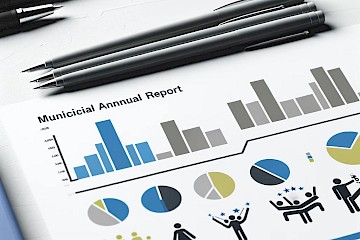 The annual financial audit